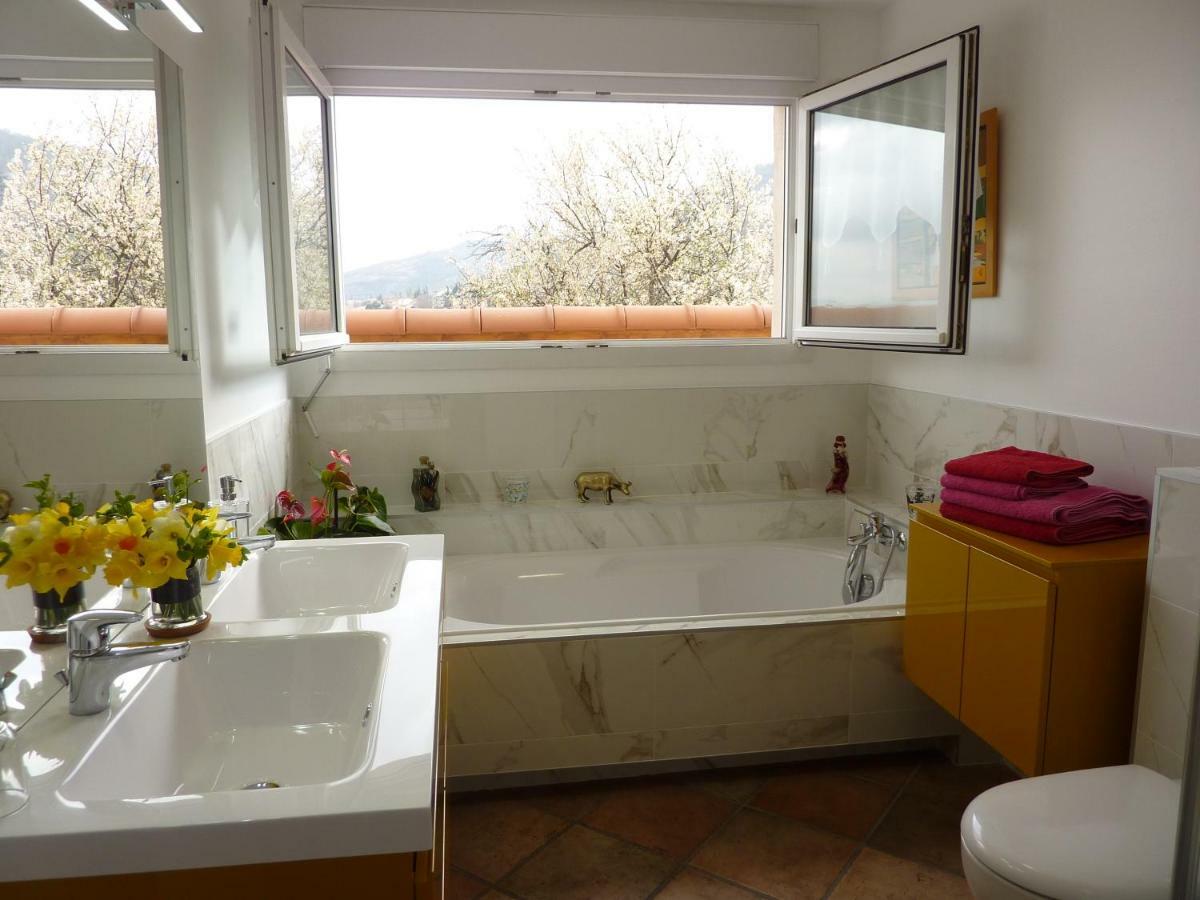Les Terrasses De Bellemoure Cebazat Apartment Екстериор снимка
